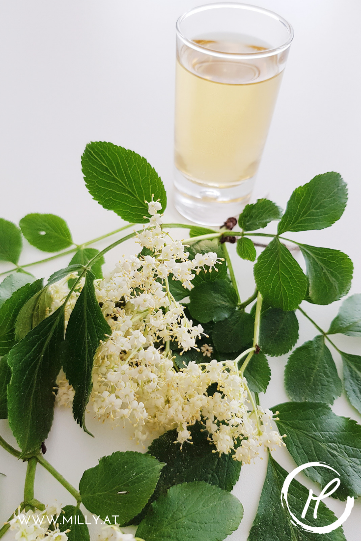 Enjoy it yourself or give it as a gift - this citronella-elderflower liquor will delight anyone! #elderflower #spring #syrup #liqueur