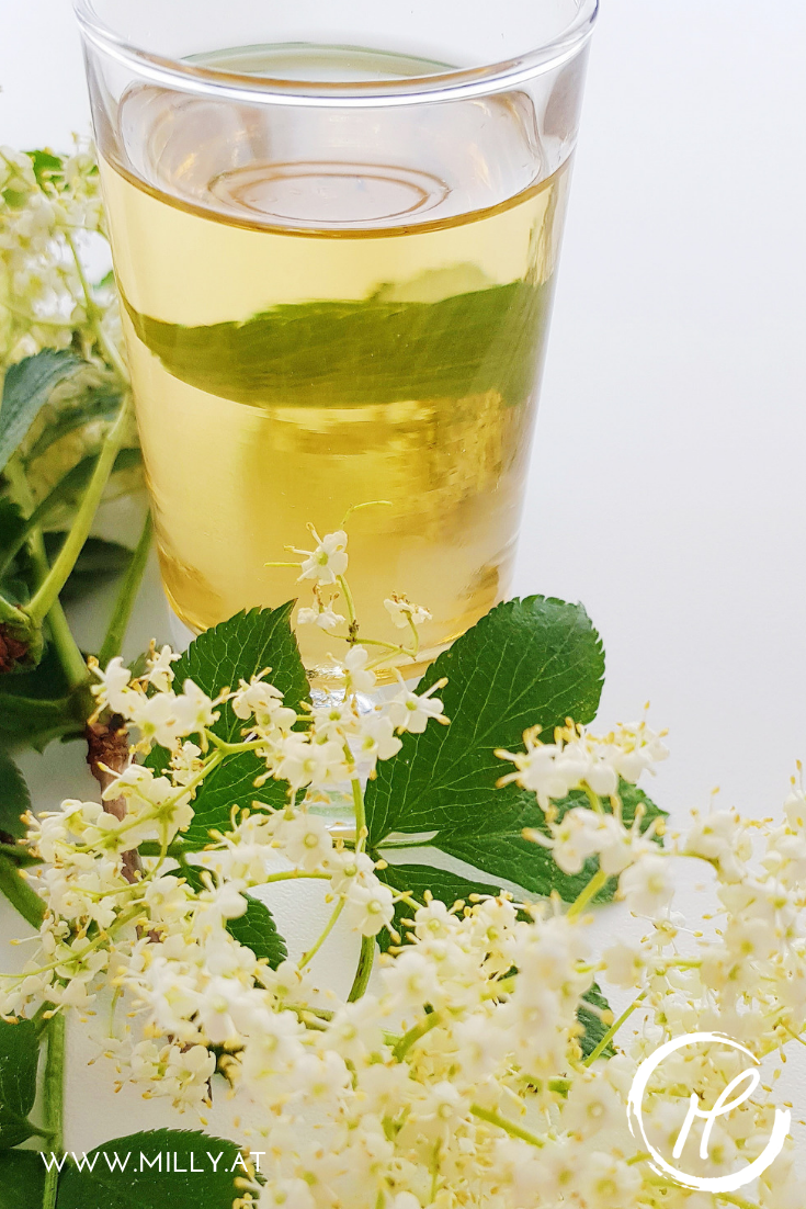 Selber genießen oder verschenken - jeder wird dieses Zitronenmelisse- Holunderblüten Likör lieben! #holler #holunder #likör #sirup #frühling