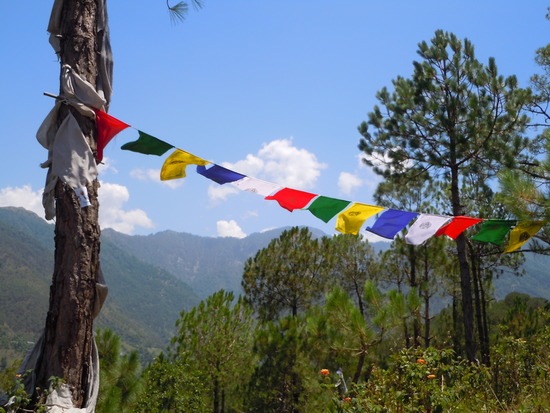 Sherabling Hills, Prayers, Gebete