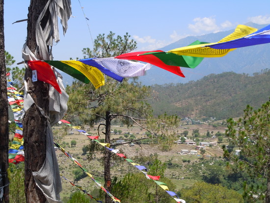 Gebete, prayers, grief, trauer