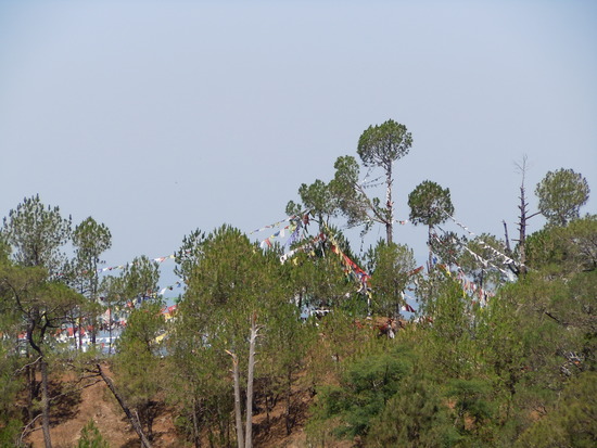 Gebete, prayers, grief, trauer