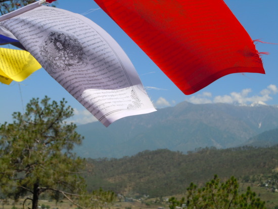 Gebete, prayers, grief, trauer