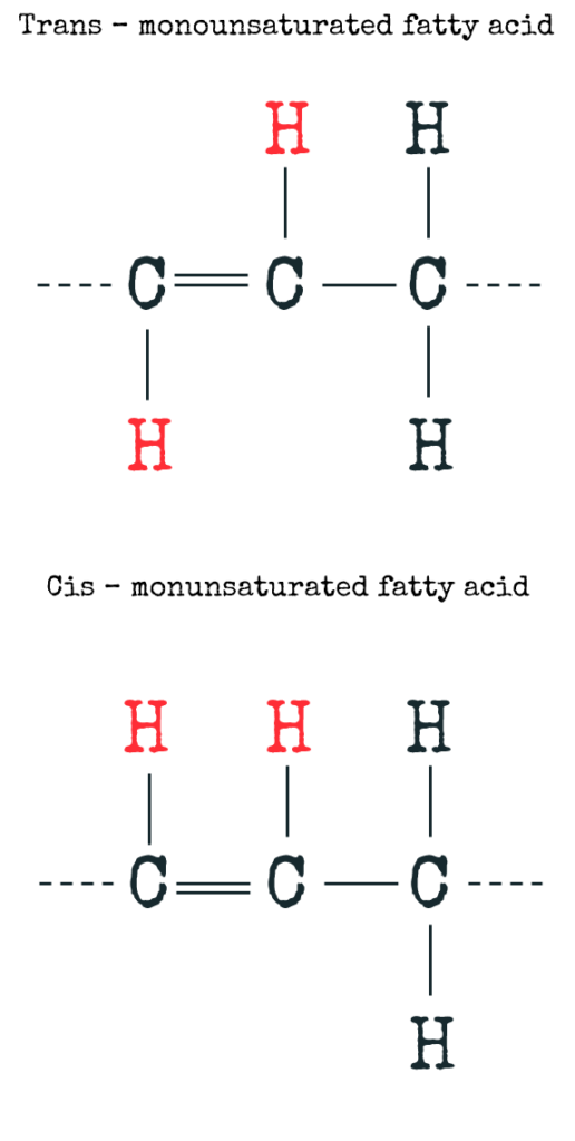 Ever asked yourself what the deal is with fatty acids? And how do they impact our health? #fattyacid #science #foodscience #everydayscience