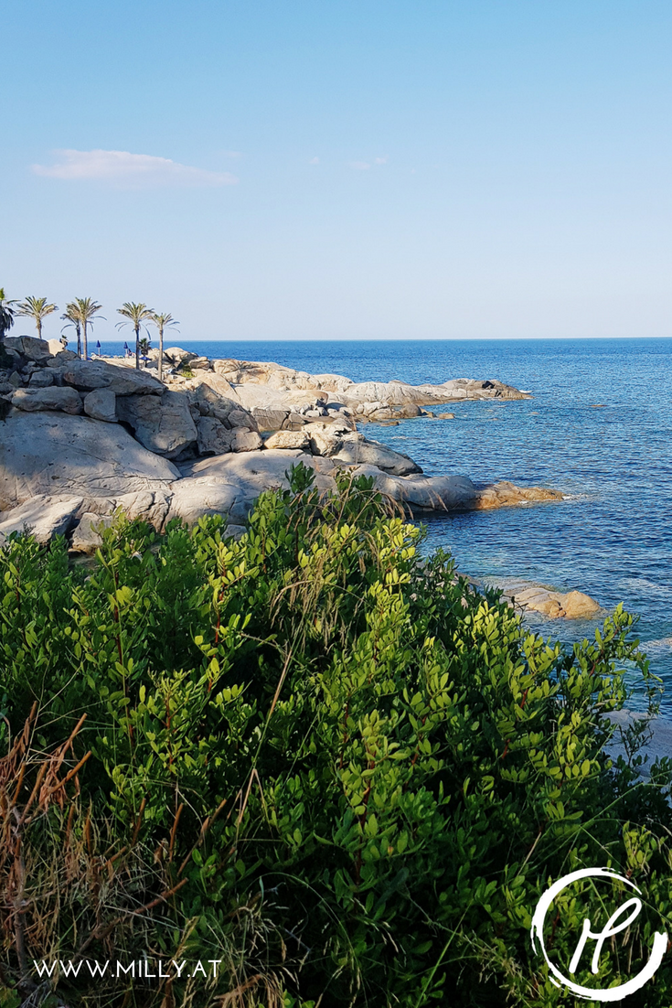 Discover the secrets of the mediterranean cuisine and why it helps us lead a more healthy lifestyle! #science#diet #mediterranean #foodscience #ldl #hdl #cholesterol #heartdisease #stroke