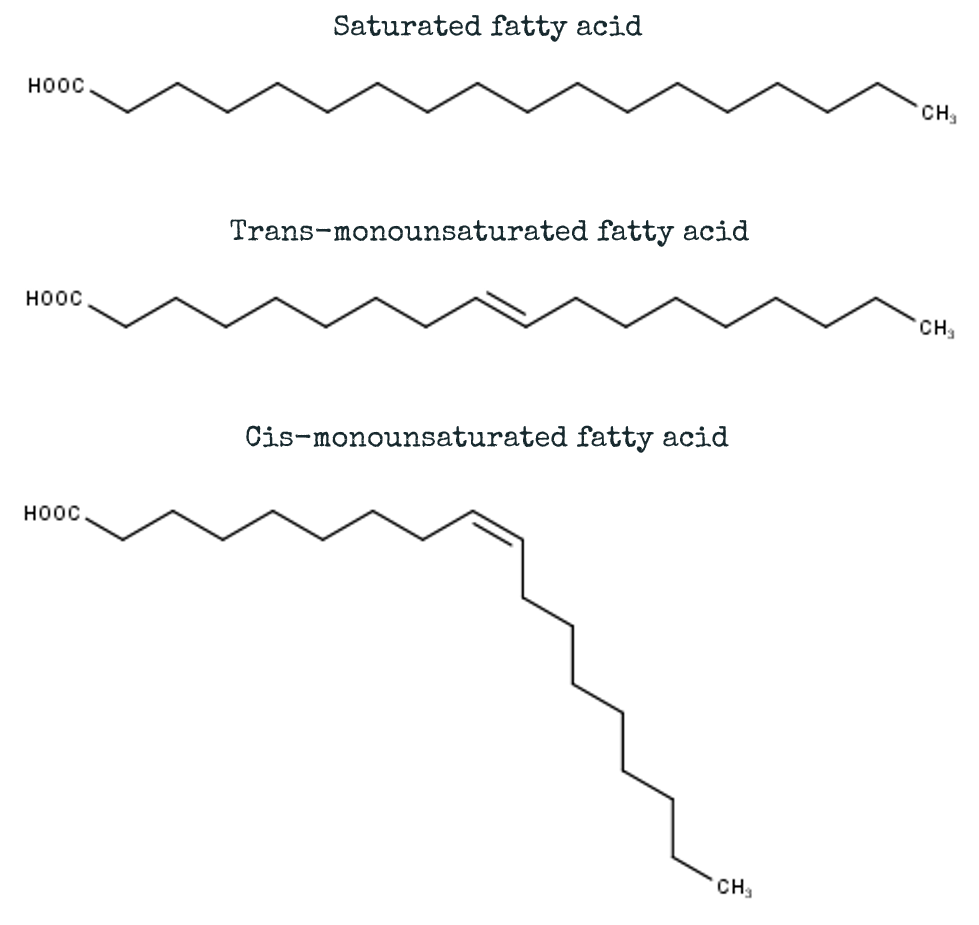 Ever asked yourself what the deal is with fatty acids? And how do they impact our health? #fattyacid #science #foodscience #everydayscience