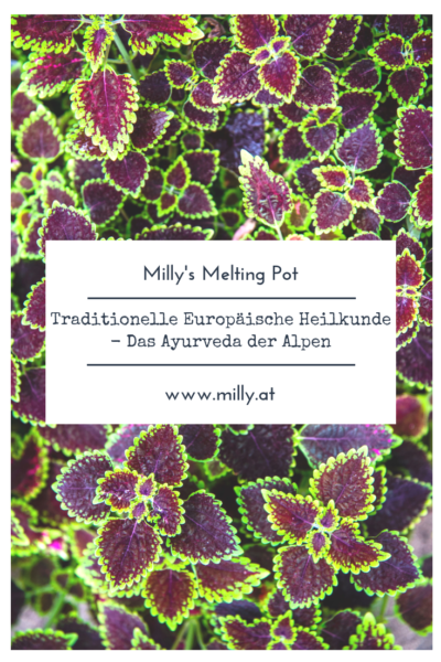 Hier in Europa gibt es die Traditionelle Europäische Heilkunde, die sich mit den lokalen Pflanzen und deren Heilkräften auseinandersetzt.