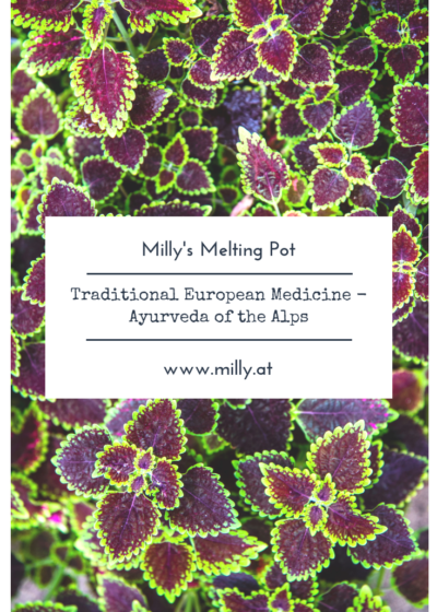 In Europe we are lucky to have Traditional European Medicine, which primarily deals with local plants and their medicinal benefits.